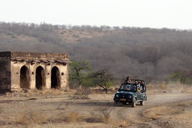 Voyage découverte Inde Rajasthan désert du thar et taj Mahal - Absolu Voyages