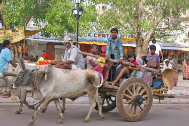 Voyage découverte aux sources du bouddhisme en Inde du Nord - Absolu Voyages