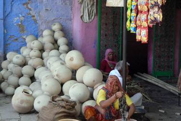 Voyage au coeur du Rajasthan, palais et splendeurs avec Absolu Voyages