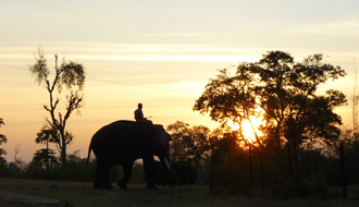 Voyage trek et decouverte sud de l'Inde avec Absolu Voyages