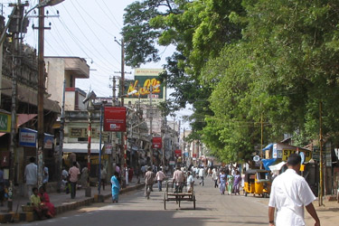 Voyage trek et decouverte sud de l'Inde avec Absolu Voyages