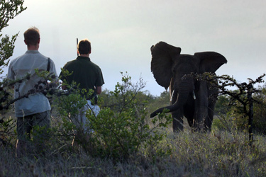 Voyage, circuit, trek, trekking en famille