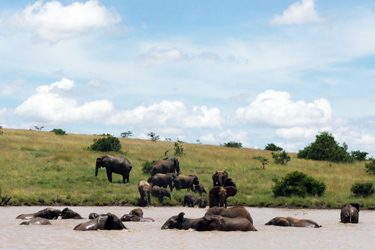 Voyage, circuit, trek, trekking en famille