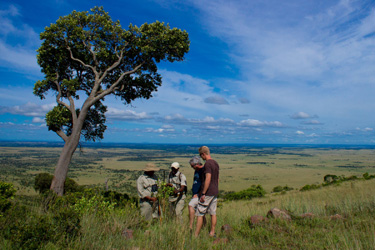 Safari d'exception dans le Masai Mara au Kenya - Absolu Voyages