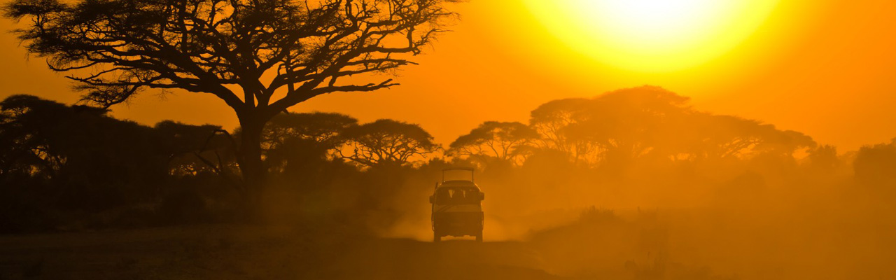 ABSOLU VOYAGES - votre agence spécialiste en safari en Afrique Australe