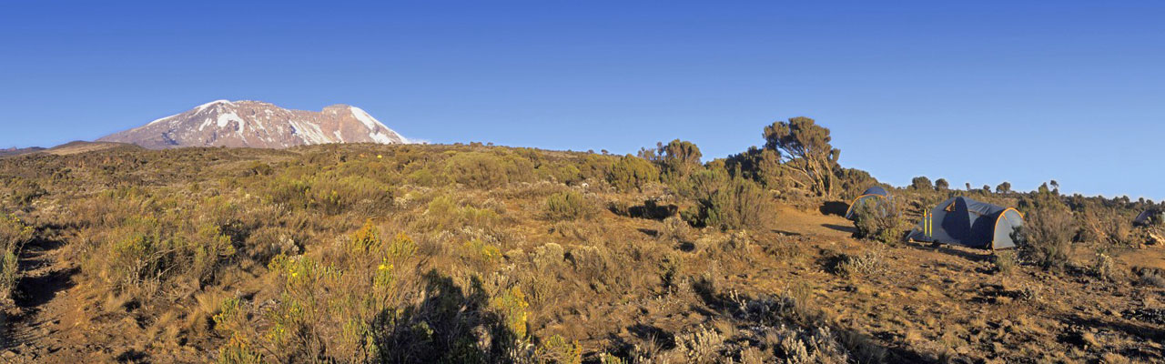 Safari à pied Kenya en Famille Absolu Voyages