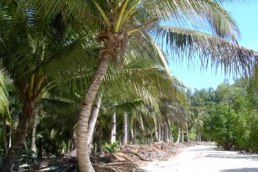 Voyages decouverte aventure et Nosy Be avec Absolu Voyages