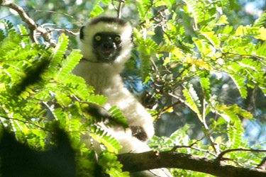 Voyage insolite et découverte kayak et plage à Madagascar avec Absolu Voyages