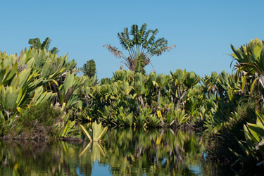 Voyage insolite et découverte kayak et plage à Madagascar avec Absolu Voyages