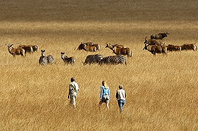 Absolu Voyages - Informations et conseils pratiques sur les safaris en Afrique - Photo, vid&eacute;o, bagages, devises, pourboires, traditions... - Afrique du Sud, Botswana, Namibie, Zambie, Mozambique, Malawi, Tanzanie, Kenya, Zanzibar, Mozambique