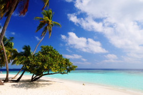 Voyage &agrave; la carte, s&eacute;jour en h&ocirc;tels aux Maldives sur l'&icirc;le de Bandos Island - diff&eacute;rentes cat&eacute;gories d'h&eacute;bergement de la chambre standard aux villas et bungalows sur pilotis - Absolu Voyages