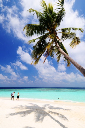 Voyage &agrave; la carte, s&eacute;jour en h&ocirc;tels aux Maldives sur l'&icirc;le de Bandos Island - diff&eacute;rentes cat&eacute;gories d'h&eacute;bergement de la chambre standard aux villas et bungalows sur pilotis - Absolu Voyages