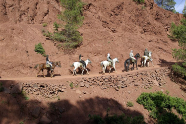 Séjour famille et multiactivités au Maroc avec Absolu Voyages
