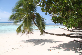 Carnet de voyage aux Seychelles - Mahe, Praslin, La Digue, Silhouette, Sainte Anne - H&ocirc;tels Labriz, Constance Lemuria, Ephelia, Orangeraie, Hilton, Paradise Sun, Coco de Mer, Black Parrot, Beachcomber Sainte Anne - Absolu Voyages - Carnets et albums photos