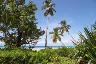 Carnet de voyage aux Seychelles - Mahe, Praslin, La Digue, Silhouette, Sainte Anne - H&ocirc;tels Labriz, Constance Lemuria, Ephelia, Orangeraie, Hilton, Paradise Sun, Coco de Mer, Black Parrot, Beachcomber Sainte Anne - Absolu Voyages - Carnets et albums photos