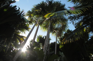 Carnet de voyage aux Seychelles - Mahe, Praslin, La Digue, Silhouette, Sainte Anne - H&ocirc;tels Labriz, Constance Lemuria, Ephelia, Orangeraie, Hilton, Paradise Sun, Coco de Mer, Black Parrot, Beachcomber Sainte Anne - Absolu Voyages - Carnets et albums photos