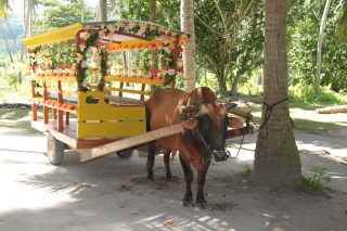 Carnet de voyage aux Seychelles - Mahe, Praslin, La Digue, Silhouette, Sainte Anne - H&ocirc;tels Labriz, Constance Lemuria, Ephelia, Orangeraie, Hilton, Paradise Sun, Coco de Mer, Black Parrot, Beachcomber Sainte Anne - Absolu Voyages - Carnets et albums photos