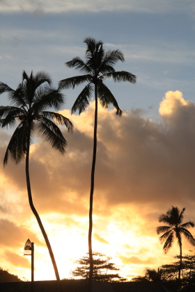 Carnet de voyage aux Seychelles - Mahe, Praslin, La Digue, Silhouette, Sainte Anne - H&ocirc;tels Labriz, Constance Lemuria, Ephelia, Orangeraie, Hilton, Paradise Sun, Coco de Mer, Black Parrot, Beachcomber Sainte Anne - Absolu Voyages - Carnets et albums photos