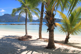 Carnet de voyage aux Seychelles - Mahe, Praslin, La Digue, Silhouette, Sainte Anne - H&ocirc;tels Labriz, Constance Lemuria, Ephelia, Orangeraie, Hilton, Paradise Sun, Coco de Mer, Black Parrot, Beachcomber Sainte Anne - Absolu Voyages - Carnets et albums photos