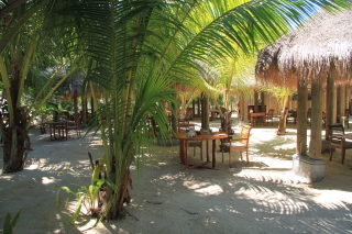 Carnet de voyage aux Seychelles - Mahe, Praslin, La Digue, Silhouette, Sainte Anne - H&ocirc;tels Labriz, Constance Lemuria, Ephelia, Orangeraie, Hilton, Paradise Sun, Coco de Mer, Black Parrot, Beachcomber Sainte Anne - Absolu Voyages - Carnets et albums photos