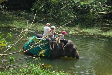 Voyage, circuit, trek, trekking en famille