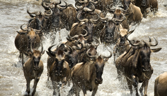 meilleur guide voyage tanzanie