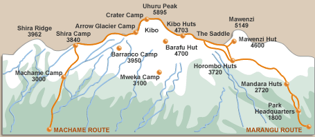 Trek d'altitude - Ascension du Kilimanjaro par la voie Machame en Tanzanie - Absolu Voyages