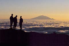 Absolu Voyages - Le sp&eacute;cialiste du safari sur mesure et du voyage &agrave; la carte en Tanzanie : h&eacute;bergement en lodges, camp de toile, camping mobile &eacute;conomique ou version confort, safaris &agrave; la d&eacute;couerte de la vie sauvage dans les Parcs et r&eacute;serves de Manyara, du Serengeti, du Ngorongoro, du Tarangire, du Selous, ascension du Kilimanjaro, s&eacute;jours &agrave; Zanzibar...