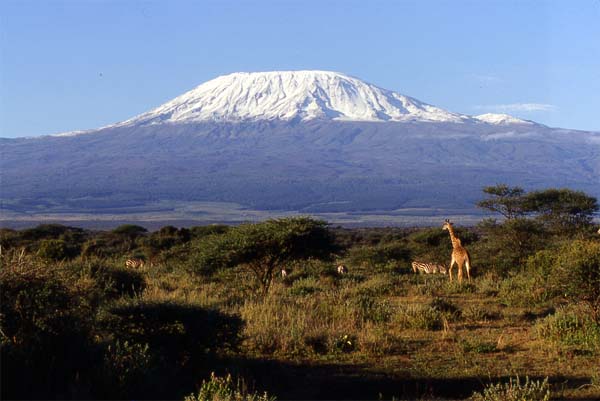 Absolu Voyages - Le sp&eacute;cialiste du safari sur mesure et du voyage &agrave; la carte en Tanzanie : h&eacute;bergement en lodges, camp de toile, camping mobile &eacute;conomique ou version confort, safaris &agrave; la d&eacute;couerte de la vie sauvage dans les Parcs et r&eacute;serves de Manyara, du Serengeti, du Ngorongoro, du Tarangire, du Selous, ascension du Kilimanjaro, s&eacute;jours &agrave; Zanzibar...