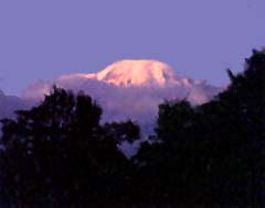 Trek d'altitude - Ascension du Kilimandjaro par la voie Machame en Tanzanie - Absolu Voyages Trekking