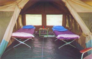 Safari - aventure &agrave; la carte en camping sous tente et 4x4 privatif dans le Nord de la Tanzanie : Ngorongoro, Serengeti et Manyara - Absolu Voyages