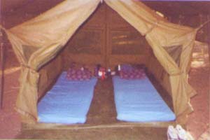 Safari - aventure &agrave; la carte en camping sous tente et 4x4 privatif dans le Nord de la Tanzanie : Ngorongoro, Serengeti et Manyara - Absolu Voyages
