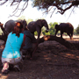 Safari masai mara en lodge luxueux - Absolu Voyages
