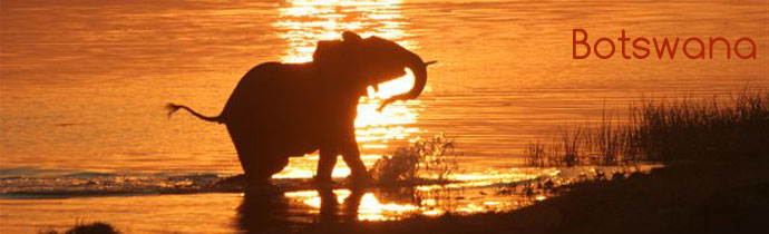 Botswana et Okavango - Safari sur mesure en lodge de luxe et safaris - aventure en camping sous tente - Okavango, Moremi, Savuti, Chobe, Linyanti, Kwando, Kalahari, Tuli - Botswana (Afrique Australe) - Absolu Voyages
