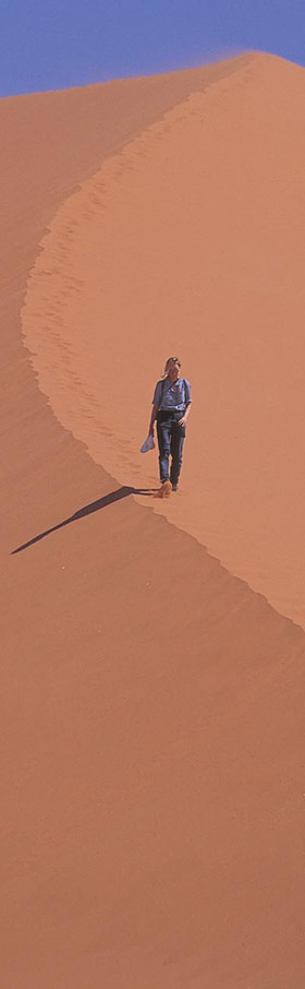 Absolu Voyages - Le sp&eacute;cialiste du safari et du voyage &agrave; la carte en Afrique, Asie et Am&eacute;rique Latine