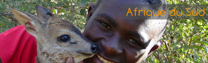 Ecovolontariat en Afrique du Sud - Devenez &eacute;covolontaire dans un orphelinat d'animaux sauvage et une &eacute;cole de brousse pour enfants d&eacute;favoris&eacute;s pr&egrave;s du Parc Kruger - Absolu Voyages, &eacute;cotourisme responsable et &eacute;quitable