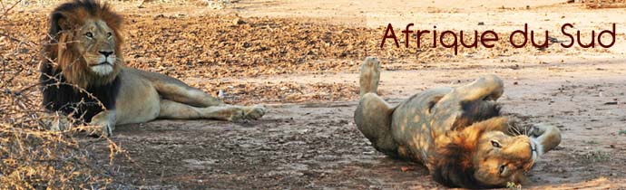 Safari-aventure de 5 jours hors des sentiers battus en Afrique du Sud, dans la r&eacute;gion du Parc Kruger au d&eacute;part de Johannesbourg &agrave; un prix imbattable, avec h&eacute;bergement en auberges et r&eacute;serves priv&eacute;es - Absolu Voyages