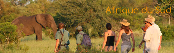 Safaris &agrave; pied dans le Parc Kruger en Afrique du Sud - Absolu Voyages, le sp&eacute;cialiste du safari en Afrique Australe