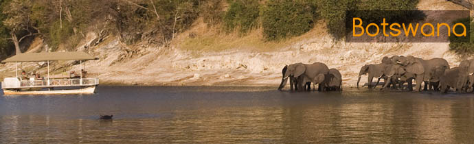 Botswana / Chobe - Safari camping en tentes mobiles de luxe dans la r&eacute;serve de Chobe, c&eacute;l&egrave;bre pour ses troupeaux d'&eacute;l&eacute;phants et de buffles - L'intensit&eacute; du safari traditionnel d'Out of Africa - (Chobe under canvas - 
Afrique Australe) - Absolu Voyages