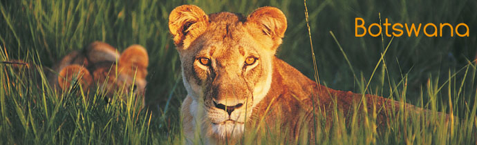 Safaris &agrave; la carte au Botswana - Absolu Voyages