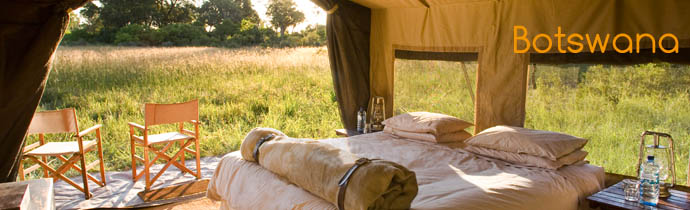 Botswana / Moremi- Okavango / Safari camping en tentes mobiles de luxe dans la r&eacute;serve de Moremi, dans le Delta de l'Okavango - L'intensit&eacute; du safari traditionnel d'Out of Africa - (Afrique Australe) - Absolu Voyages