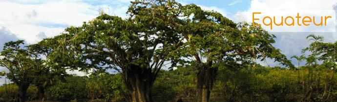 Equateur