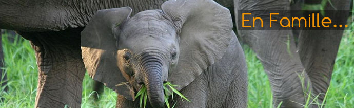 Voyages et safaris en famille avec des enfants - Absolu Voyages