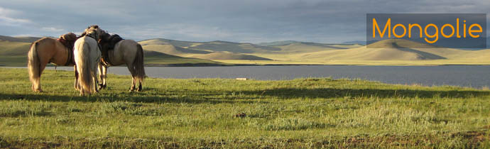 Voyage "L'essentiel de la Mongolie" en 10 jours : Vall&eacute;e de l'Orkhon, Oulan Bator, Khogno Khan (mini-Gobi), parc de Khustai, lac d'Ogii, avec h&eacute;bergement sous la yourte et 2 nuits dans une famille nomade mongole - Absolu Voyages