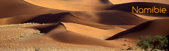 D&eacute;sert de Namib - Absolu Voyages