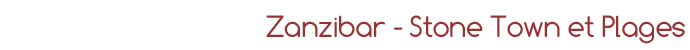S&eacute;jour &agrave; Zanzibar, d&eacute;couverte de Stone Town et d&eacute;tente au bord des plages de l'Oc&eacute;an Indien (Tanzanie - Afrique) - Absolu Voyages