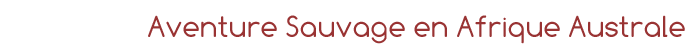 Exp&eacute;dition en Afrique - Aventure Sauvage en Afrique Australe - Afrique du Sud, Namibie, Botswana, Chutes Victoria, Zimbabwe, safari en cano&eacute; sur l'Orange River et ascension des dunes de Sossusvlei - Safaris dans les r&eacute;serves d'Etosha, Chobe, Delta de l'Okavango, Hwange - voyage safari d'aventure en camping sous tente et en camion 4x4 - Absolu Voyages