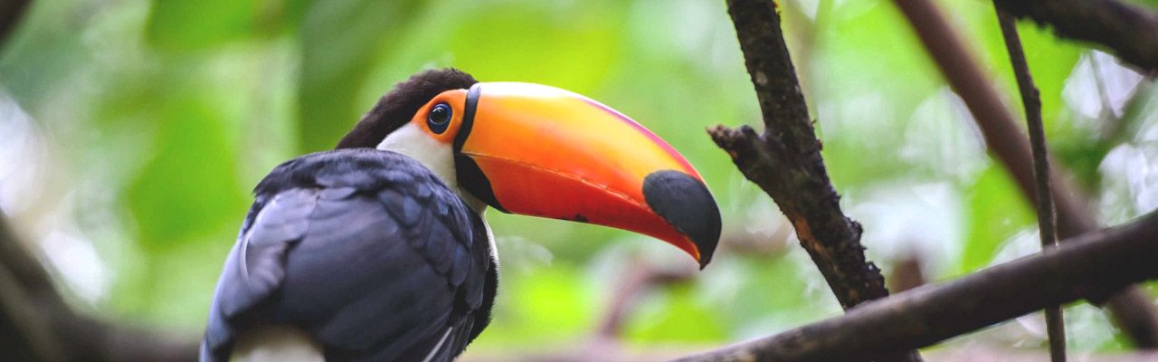 Voyage au Costa Rica en Amérique Centrale