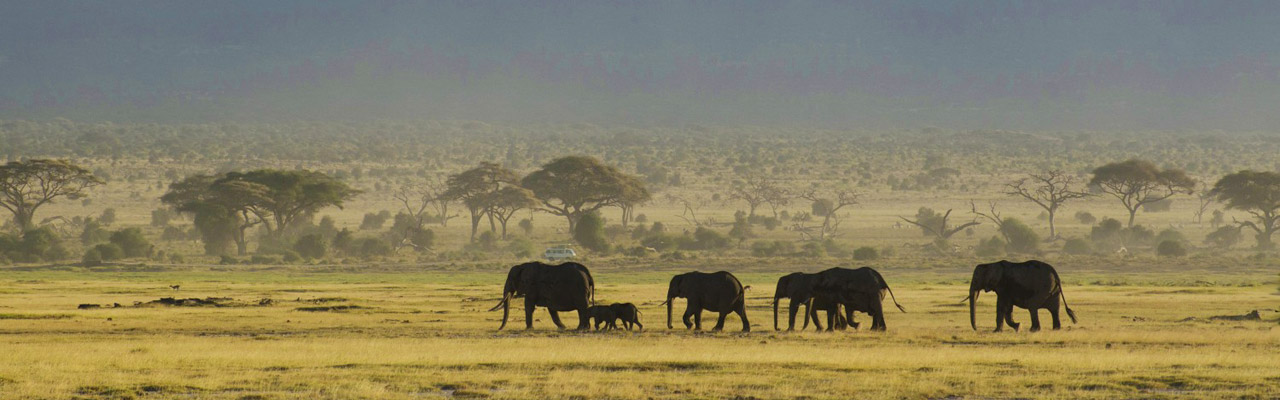 Safari voyages vacances Kenya en Famille avec Absolu Voyages